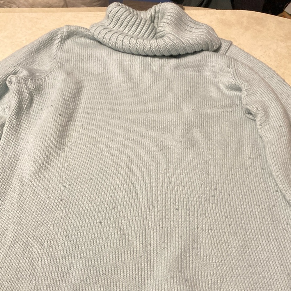 The Limited wool/acrylic turtleneck